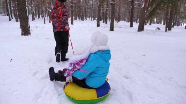 Pappa kälkåkning mamma och lilla bebis på snöig väg i park och skrattar — Stockvideo