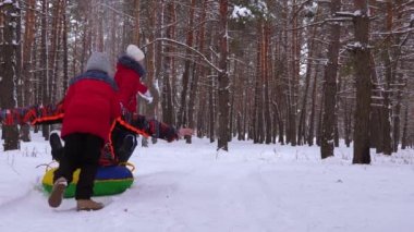 Çocuk Baba karlı kış yolda bir çam parkı içinde çalışan kar uçan daire eğlenceli rulo. Kızak iğne yapraklı orman ile oynayan çocuk. Aile Oyunları temiz havada. Noel tatili
