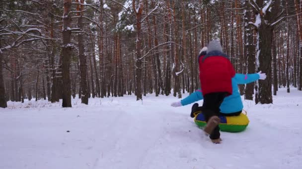 Děti roll máma na talíř tučňáka pobíhající po zasněžené zimní silnici v borovém parku. Kluk hraje s saně v jehličnatých lesů. Rodinné hry na čerstvém vzduchu. Vánoční svátky — Stock video