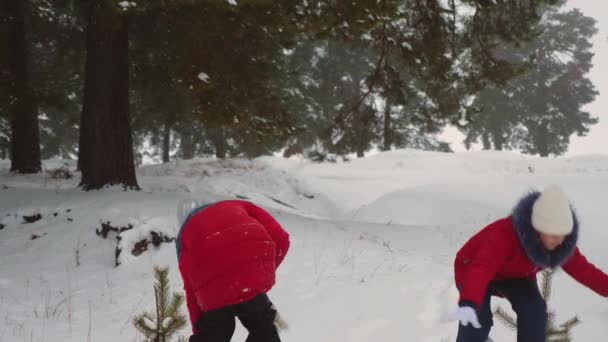 在寒冷的天气里, 孩子们在松公园的雪冬路上玩雪球和笑得很开心。青少年在针叶树的冬林里玩雪球, 微笑着。在新鲜寒冷的空气中游戏. — 图库视频影像