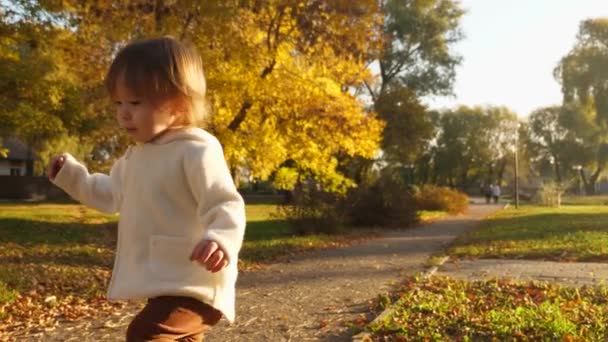 幸せな子供が公園で遊んでいます。秋の公園の周りを実行して、笑って、紅葉と遊ぶ赤ちゃん. — ストック動画