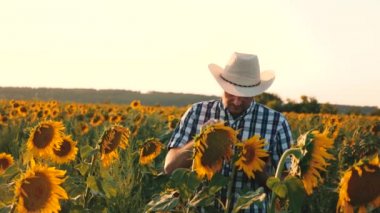 Ziraat Mühendisi adam osamatrivaet çiçek ve Ayçiçeği çekirdeği. İşadamı tablet ile ayçiçeği ile kendi alanında inceliyor. tarım iş kavramı. çiftçi bir çiçekli alanına yürüyor.