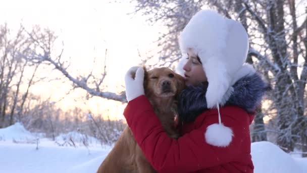 Krásná dívka úsměvy, laskání její milovaný pes v zimě v parku. dívka s lovecký pes chodí v zimě v lese. pes políbí hostitelka. — Stock video