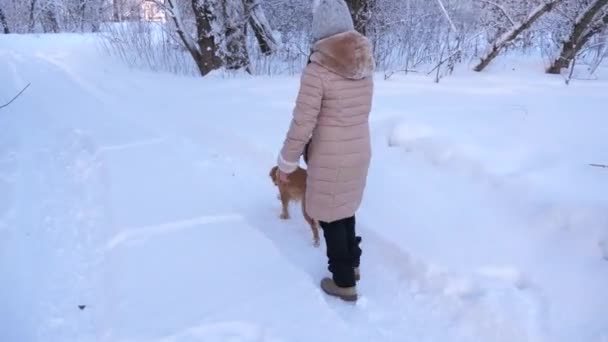 孩子和狗在冬天的森林里沿着小路走 女孩在冬天在雪中玩狗在公园 — 图库视频影像