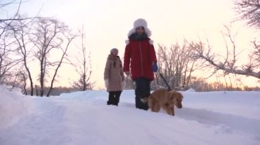 Çocuk ve köpek ve köpek kış parkta yol boyunca yürüyün. iki kız ormanda Kışın kar köpek ile oynamak.