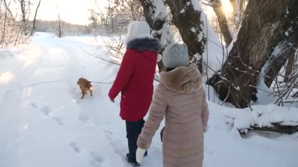 Дві дівчини і собака і собака ходять по шляху в зимовому парку. Діти грають з собакою на снігу взимку в лісі. щаслива родина, що гуляє з домашнім улюбленцем . — стокове відео