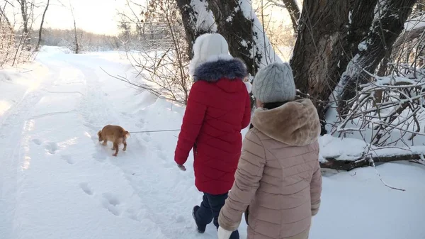Zwei Mädchen und Hund spazieren im Winterpark entlang des Weges. Kinder spielen mit Hund im Schnee im Winter im Wald. glückliche Familie zu Fuß ihr Haustier. — Stockfoto