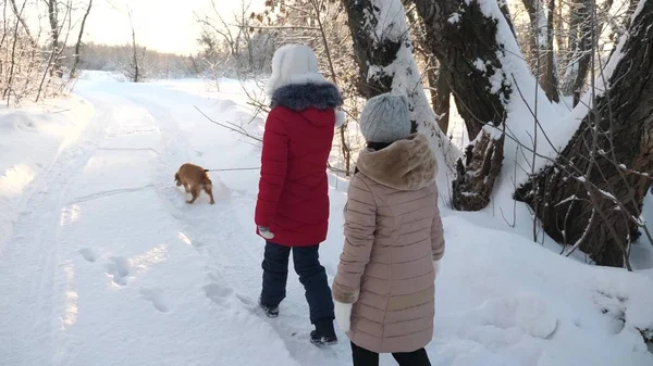 Zwei Mädchen und Hund spazieren im Winterpark entlang des Weges. Kinder spielen mit Hund im Schnee im Winter im Wald. glückliche Familie zu Fuß ihr Haustier. — Stockfoto