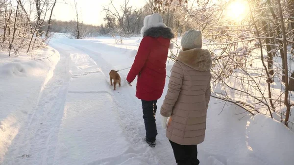 Zwei Mädchen und Hund spazieren im Winterpark entlang des Weges. Kinder spielen mit Hund im Schnee im Winter im Wald. glückliche Familie zu Fuß ihr Haustier. — Stockfoto