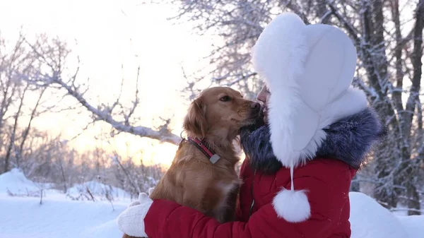 Schöne Mädchen lächelt, streichelt ihren geliebten Hund im Winter im Park. Mädchen mit einem Jagdhund geht im Winter im Wald spazieren. Hund küsst Gastgeberin. — Stockfoto