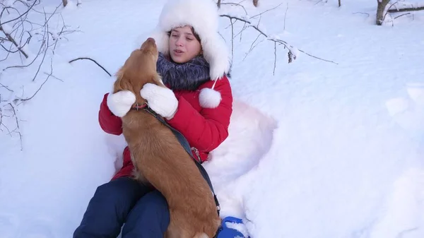 Schöne Mädchen und Hund spielen in Schneewehen. Kind mit Jagdhund geht im Winter im Wald spazieren. Herrchen streichelt ihren geliebten Hund im Park. — Stockfoto