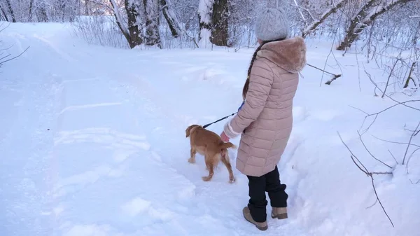 Kind und Hund gehen im Winterwald auf Pfaden spazieren. Mädchen spielt im Winter mit Hund im Schnee im Park. — Stockfoto