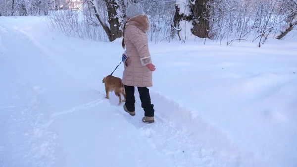子供と犬は、冬の森のパスに沿って歩いています。公園の冬の雪の中で犬と遊ぶ少女. — ストック写真