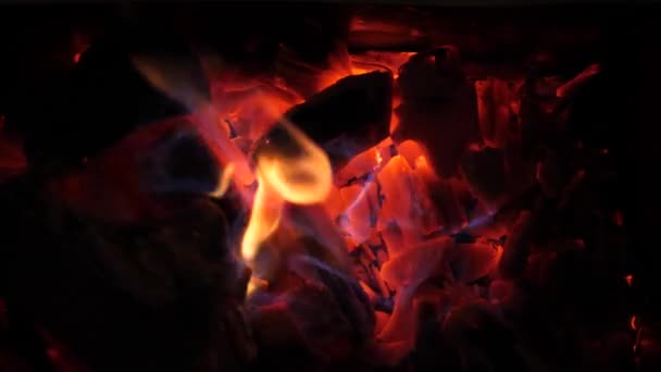 Zářící jasně červené ohnivé uhlíky jasně a záře. Bonfire tepla dříví hoří červený modrý oheň. Closeup — Stock video