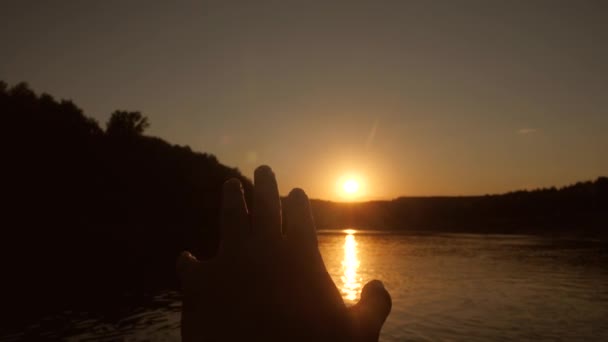 Palm eléri a naplementében, háttérben a folyó, az ujjak érintse a nap — Stock videók