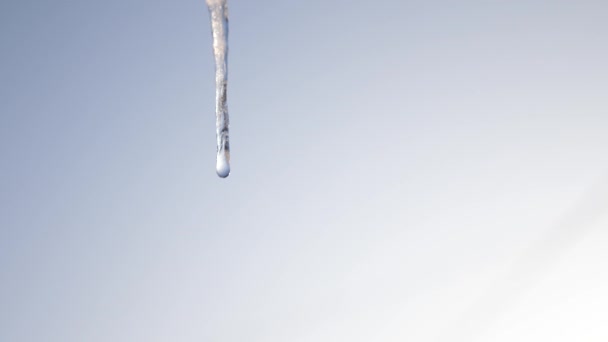 Smeltende ijspegels, tegen de blauwe hemel. Closeup Dripping ijspegels. Lente druppels. — Stockvideo