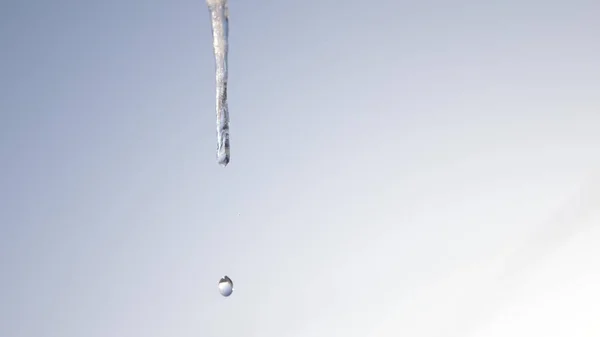 Στάζει icicles. Τήξη Icicles, ενάντια στον γαλάζιο ουρανό. γκρο πλαν. Άνοιξη σταγόνες. — Φωτογραφία Αρχείου