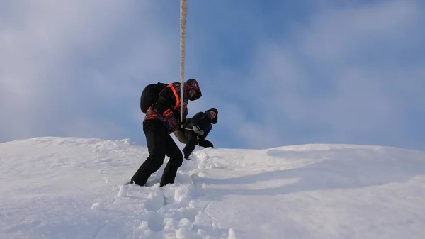 出張は、雪に覆われた丘の上からロープで降りる。山からロープを冬にアルピニスト チーム。冬の見事な連携観光 — ストック写真