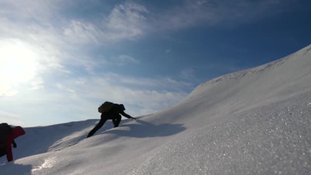 Pellegrini scalano una montagna innevata in Alaska. coordinato lavoro di squadra alpinismo nel turismo invernale nel nord. Un team di viaggiatori in Antartide va al suo obiettivo, superando le difficoltà . — Video Stock