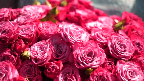 Μπουκέτο με όμορφα κόκκινα τριαντάφυλλα — Αρχείο Βίντεο