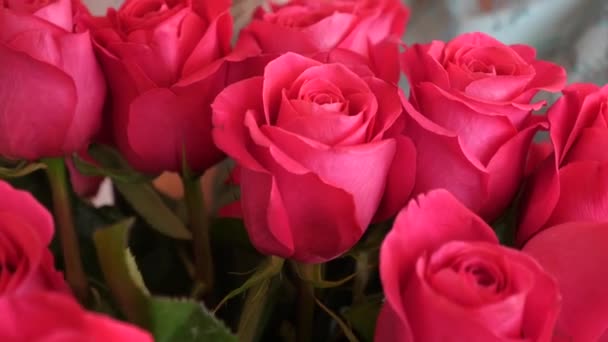 Schöne rote Rosen in Frauenhänden. Nahaufnahme. — Stockvideo