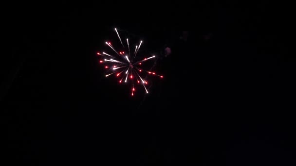 Schönes Urlaubsfeuerwerk. Collage aus farbenfrohen Feuerwerken, die am Nachthimmel explodieren — Stockvideo