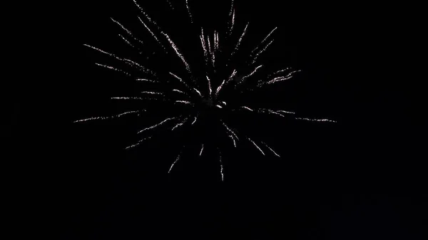 Belos fogos de artifício de férias. Colagem de fogos de artifício coloridos explodindo no céu noturno — Fotografia de Stock