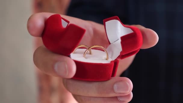Bruidegom houdt in zijn hand doos van gouden trouwringen. close-up. geschenk gouden decoratie. sieraden voor zijn geliefde vrouw — Stockvideo