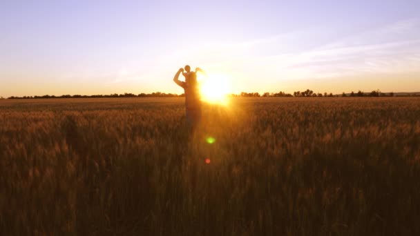 Счастливый папа носит ее маленькую дочь на руках над полем пшеницы в красивых лучах заката. Концепция счастливой семьи. Папа и ребенок гуляют за городом. Концепция командной работы и роста бизнеса — стоковое видео