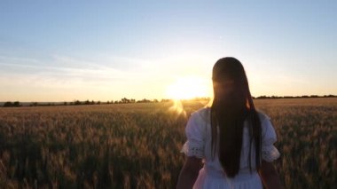alanda yürüyüş mutlu çocuk. mutlu kız sarı buğday ile alan üzerinde yürüyor ve gün batımında elleriyle buğday kulakları dokunur. Yavaş hareket. mutlu çocukluk kavramı.