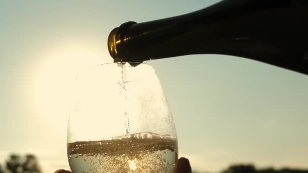 Pour sparkling wine from bottle into transparent wine glasses against a sunset. teamwork of loving couple. celebrating success and victory. champagne sparkles and foams in sun. Slow motion — Stock Video