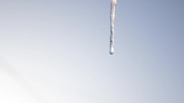 Una goccia d'acqua cade dal ghiacciolo che si scioglie. Scioglimento Icicle, contro il cielo blu. primo piano Gocciolamento ghiaccioli. Gocce primavera . — Video Stock