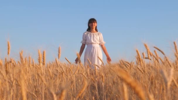 Menina em vestido branco vai para o campo de trigo maduro, mãos de menina tocar as orelhas maduras de trigo, câmera lenta. Cultivo de trigo maduro no campo. conceito de negócio agrícola . — Vídeo de Stock