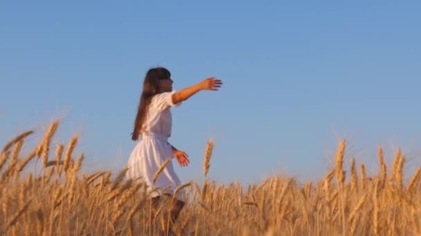 快乐的年轻女孩在成熟的小麦领域跳舞, 慢动作。成熟的小麦在地里生长。农业经营理念。幸福家庭和童年的概念. — 图库视频影像