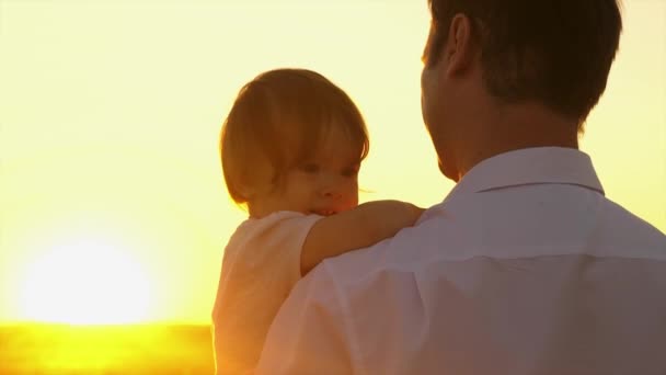 Gelukkig Papa houdt op zijn armen dochtertje in het park in de stralen van een mooie zon. Vader lopen met een klein kind in de avond. Teamwork en gelukkige familie concept. — Stockvideo