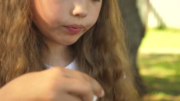 Niña en el parque infla burbujas de jabón. Primer plano. concepto de vacaciones y la infancia feliz . — Vídeos de Stock