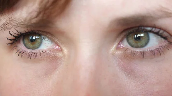 Retrato de belos olhos cinza-verdes de uma jovem mulher bonita. olhos bonitos meninas close-up . — Fotografia de Stock