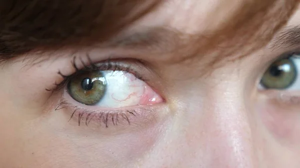 Retrato de close-up de belos olhos cinza-verdes de uma jovem mulher bonita. bela galaza meninas closeup . — Fotografia de Stock