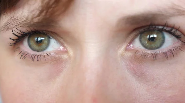 Portré gyönyörű szürke-zöld szeme egy fiatal szép nő. gyönyörű szemek lányok Vértes. — Stock Fotó