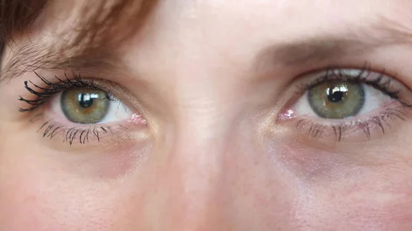 Portré gyönyörű szürke-zöld szeme egy fiatal szép nő. gyönyörű szemek lányok Vértes. — Stock Fotó
