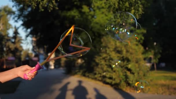 A família joga infla grandes bolhas de sabão no parque no verão, na primavera. decorações infantis para o feriado. Close-up. Movimento lento. conceito de férias em família . — Vídeo de Stock
