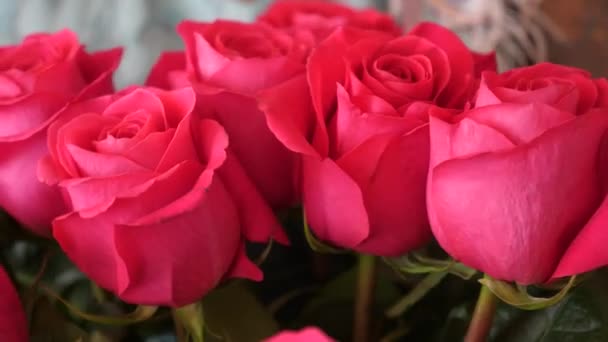 beau bouquet de roses rouges en gros plan dans les mains. Belles roses rouges dans les mains des femmes. Au ralenti. beau cadeau de fleurs pour femme 