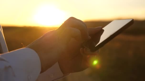 Mains de l'homme conduisent leurs doigts sur la tablette. homme vérifie email. Homme d'affaires travaillant sur tablette au coucher du soleil dans le parc. agronome travaille avec la tablette dans le domaine. agriculteur sur plantation avec — Video