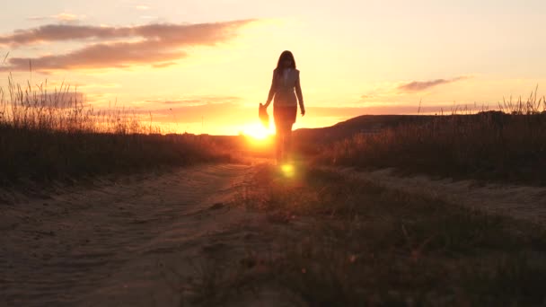 Sexy Business woman walking along a country road with a briefcase in hand, the sun shimmers at sunset. Sexy business girl working in the countryside. beautiful girl travels the countryside. — Stock Video