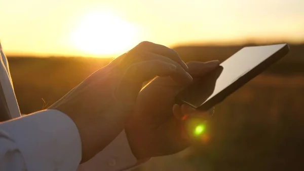 Mãos do homem estão dirigindo seus dedos sobre tablet. homem verifica e-mail. Empresário trabalhando em tablet ao pôr do sol no parque. o agrônomo trabalha com o tablet no campo. agricultor em plantação com — Fotografia de Stock