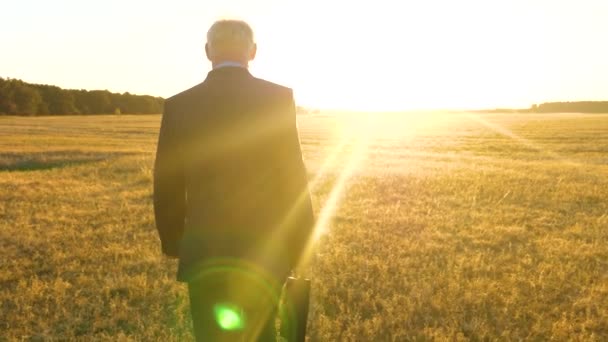 El agricultor inspecciona la tierra en primavera. Un granjero camina a través del campo en el verano bajo los rayos de un sol brillante. hombre de negocios en un traje camina por el parque con un maletín en rayos de atardecer . — Vídeo de stock