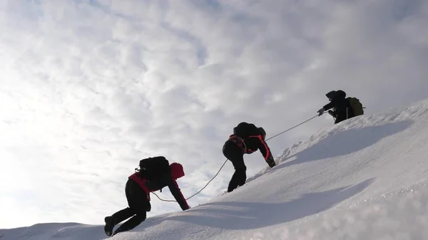 Τρεις Alpenists το χειμώνα ανεβείτε το σχοινί στο βουνό. Ταξιδιώτες ανεβαίνουν σχοινί νίκη τους μέσα από χιόνι ανηφορικά σε ένα ισχυρό άνεμο. Οι τουρίστες το χειμώνα λειτουργούν μαζί ως ομάδα ξεπερνώντας δυσκολίες. — Φωτογραφία Αρχείου