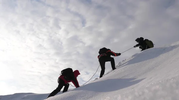 Üç Alpenists kışın dağda ipten in. Seyahat etmek güçlü bir rüzgar karda yokuş yukarı onların zafer halat tırmanmaya. turistlerin kışın birlikte zorluklar üstesinden takım çalışması.