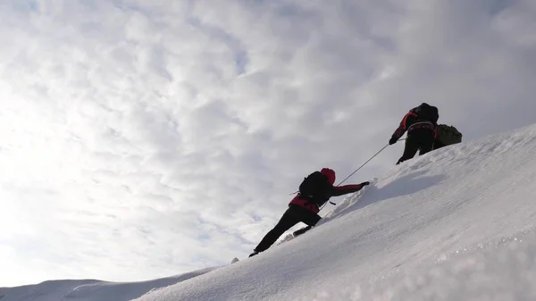 Три альпиниста зимой взбираются по верёвке на гору. Путешественники поднимаются по канату к своей победе через снег в гору при сильном ветре. туристы зимой работают вместе, как команда преодоления трудностей . — стоковое фото