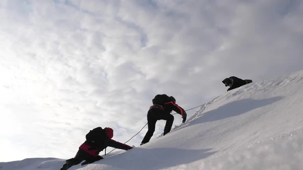 Три альпиниста зимой взбираются по верёвке на гору. Путешественники поднимаются по канату к своей победе через снег в гору при сильном ветре. туристы зимой работают вместе, как команда преодоления трудностей . — стоковое фото